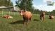 Игра Farming Simulator 25. Highlands Fishing Edition [PS5, русские субтитры] в Сургуте