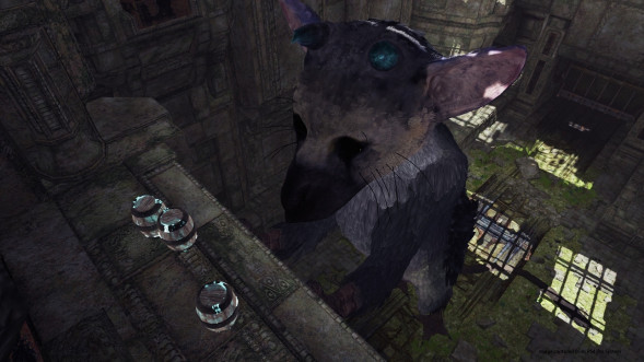 The Last Guardian: Последний хранитель [PS4, русские субтитры] в Сургуте