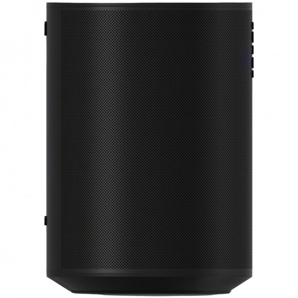 Умная колонка Sonos Era 100, черный в Сургуте