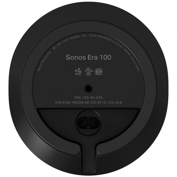 Умная колонка Sonos Era 100, черный в Сургуте