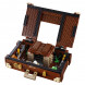 Конструктор LEGO Harry Potter 75952 Чемодан Ньюта Саламандера в Сургуте