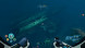 Игра Subnautica: Below Zero [PS5, русские субтитры] в Сургуте