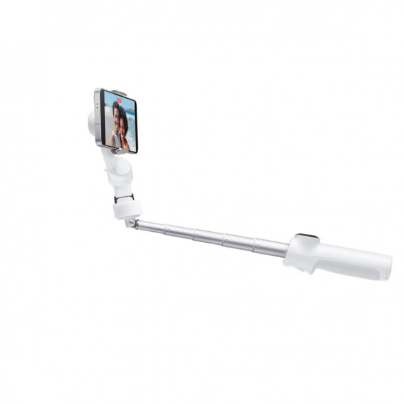 Cтабилизатор Insta360 Flow 2 Standard Bundle, Summit White в Сургуте