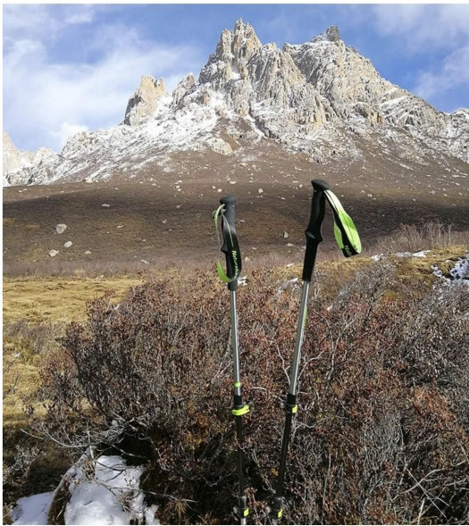 Треккинговая палка Naturehike 135 см, 1 шт., белый/красный в Сургуте