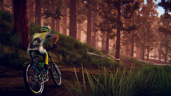 Игра Descenders [Nintendo Switch, английская версия] в Сургуте