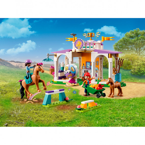 Конструктор LEGO Friends 41746 Horse Training в Сургуте