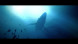 Игра Under The Waves [PS4, русские субтитры] в Сургуте
