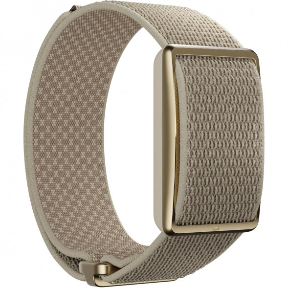 Фитнес-браслет Polar Loop 2, Gold в Сургуте