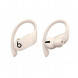 Беспроводные наушники Beats Powerbeats Pro, Ivory (MY5D2ZM/A) в Сургуте