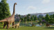 Игра Jurassic World: Evolution 3 [PS5, английская версия] в Сургуте
